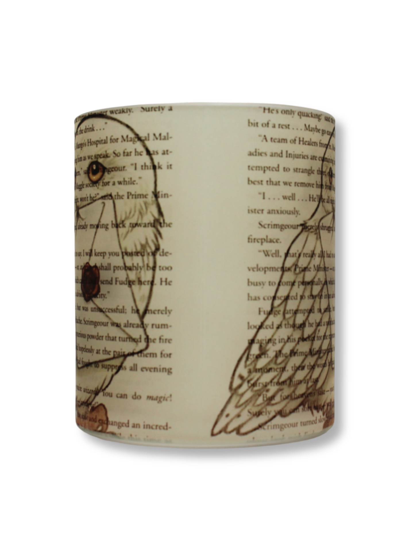 Taza De Vidrio Harry Potter Hedwig