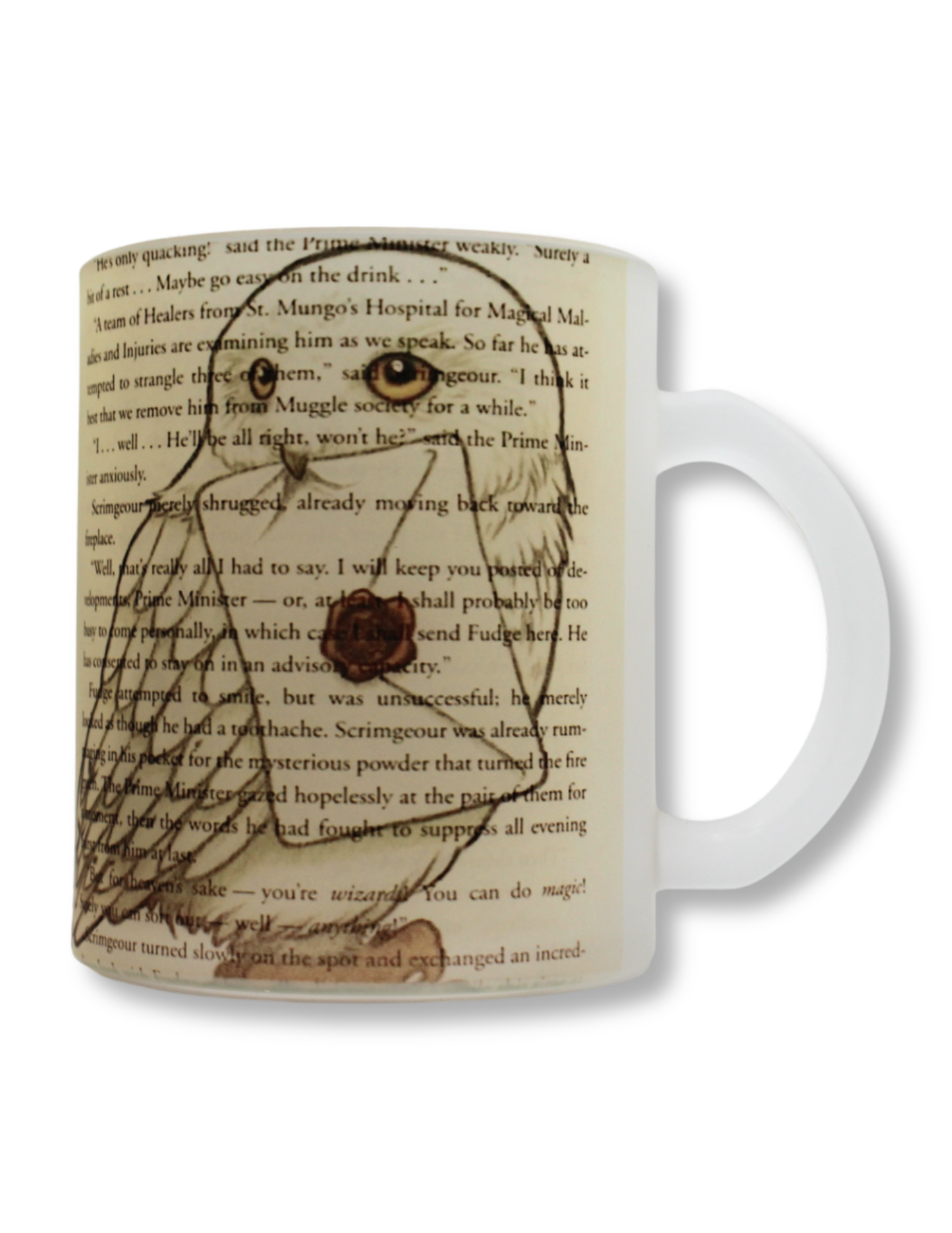 Taza De Vidrio Harry Potter Hedwig
